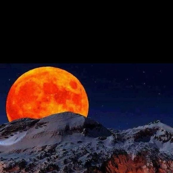 Meet your Posher, Don - Picture 1 of 1